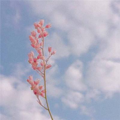 夺回日本游戏(暂未上线)v1.0.0 安卓版