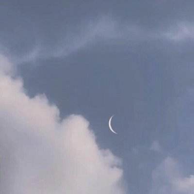道心官方下载